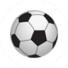 泰尼高FF
